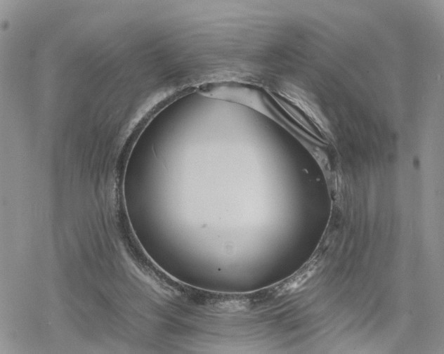 X0000078240156200611171507