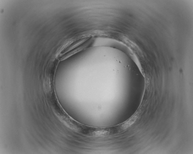 X0000078240158200611171507