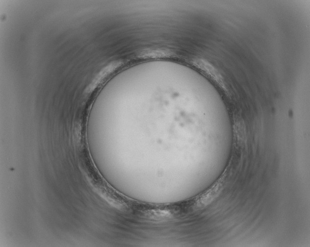 X0000078240159200611171507