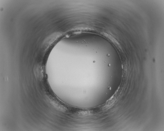 X0000078240160200611171507