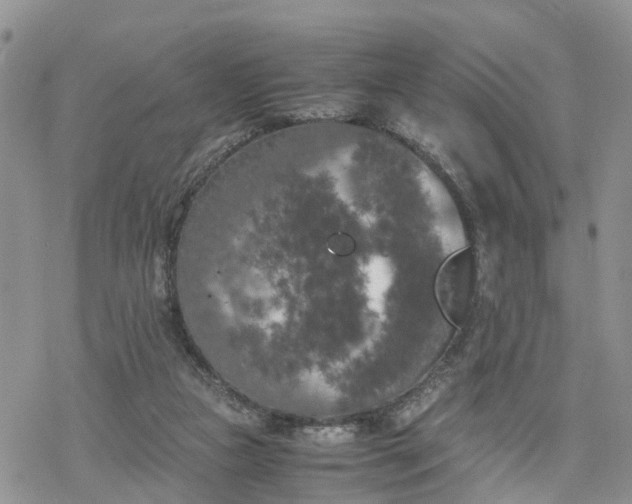 X0000078240161200611171507