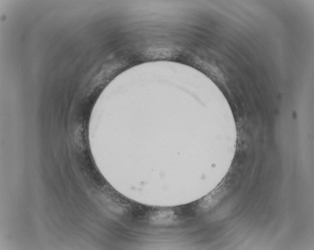 X0000078240162200611171507