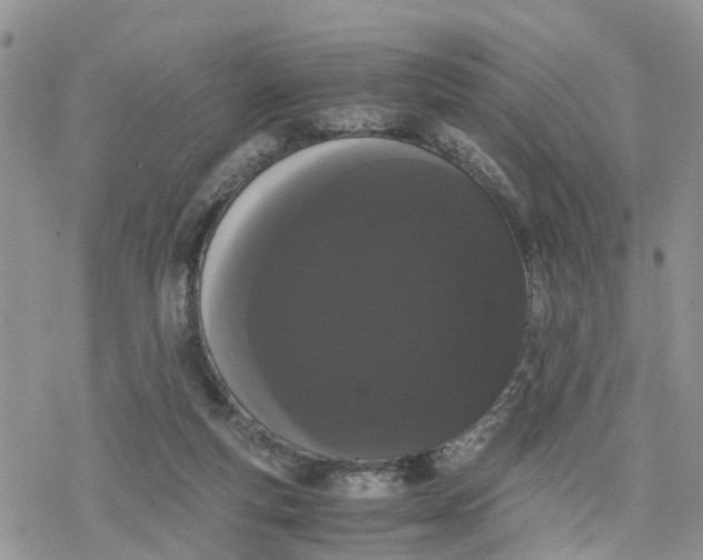 X0000078240163200611171507