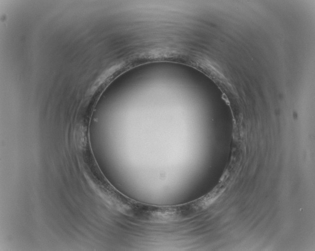 X0000078240164200611171507