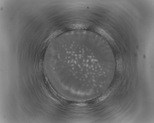 X0000078240165200611171507