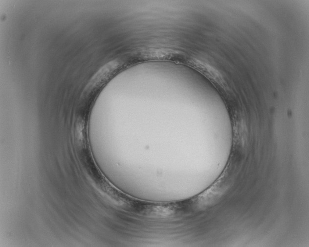 X0000078240166200611171507