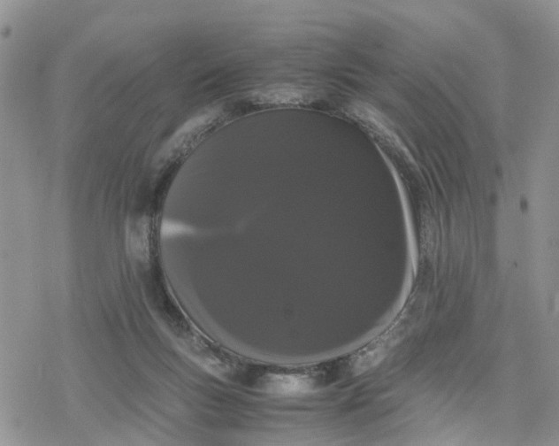 X0000078240167200611171507