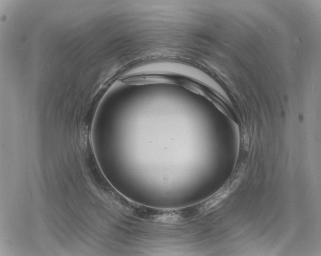 X0000078240168200611171507