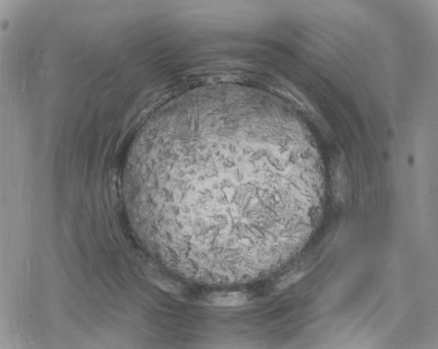 X0000078240169200611171507