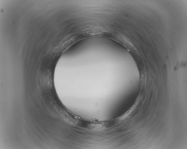 X0000078240170200611171507