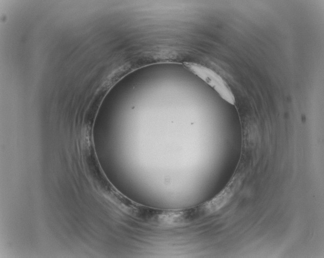 X0000078240172200611171507