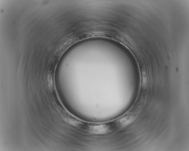 X0000078240173200611171507