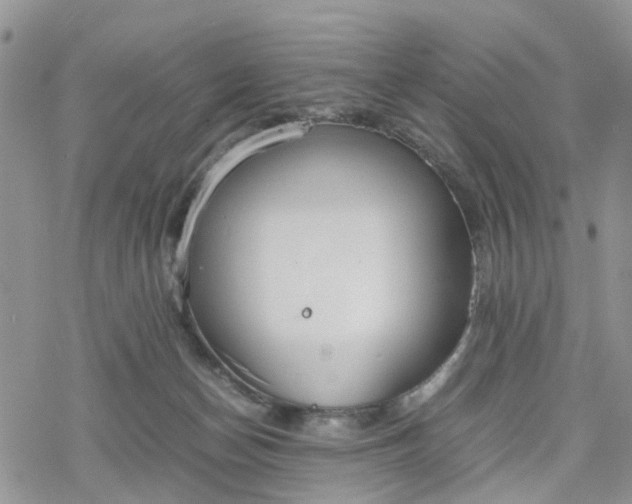 X0000078240174200611171507