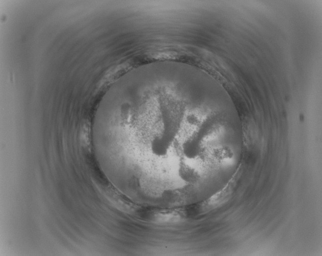 X0000078240175200611171507