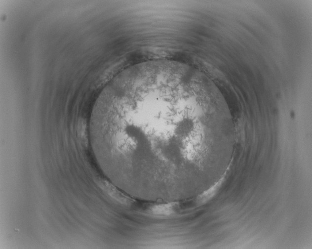 X0000078240178200611171507