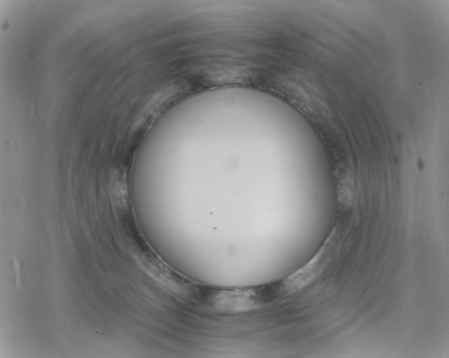 X0000078240179200611171507