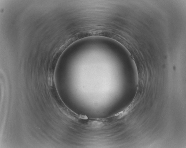 X0000078240180200611171507