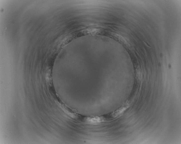 X0000078240181200611171507