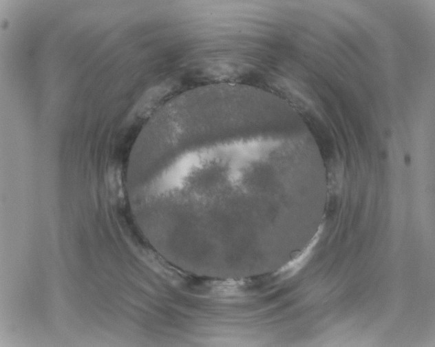 X0000078240182200611171507