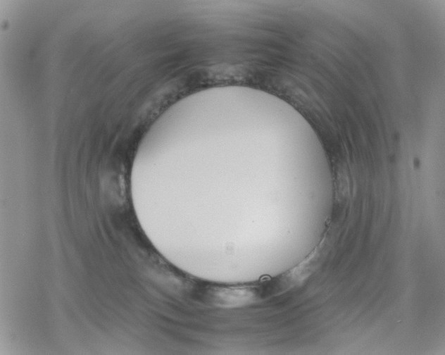 X0000078240183200611171507