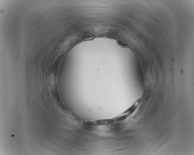 X0000078240184200611171507