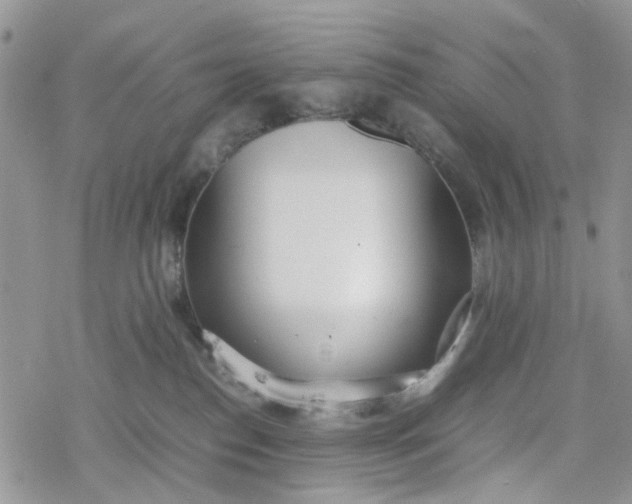 X0000078240186200611171508