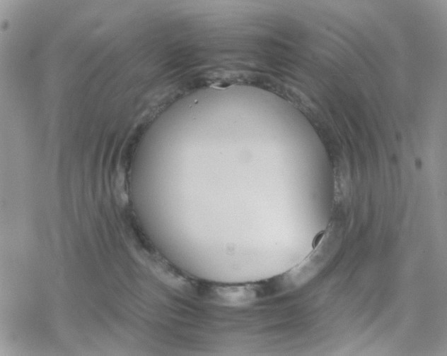 X0000078240187200611171508