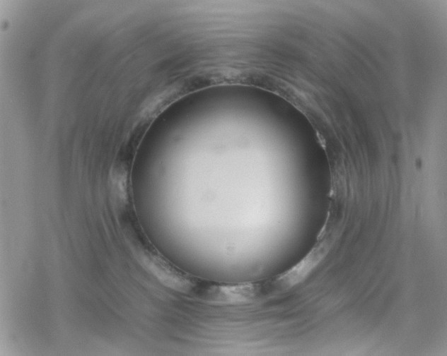 X0000078240188200611171508