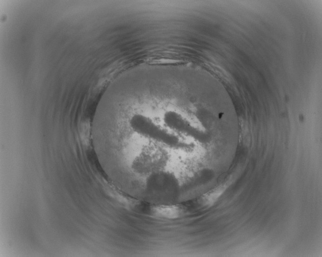 X0000078240189200611171508