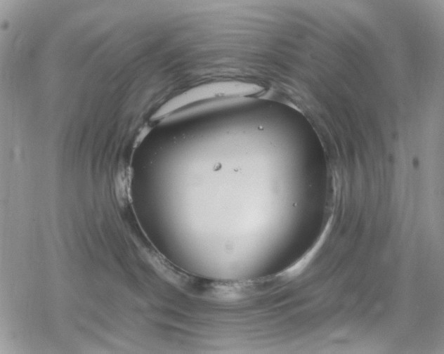 X0000078240190200611171508