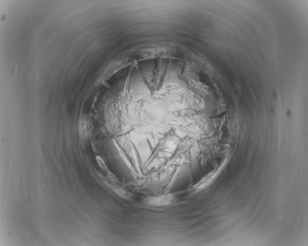 X0000078240191200611171508