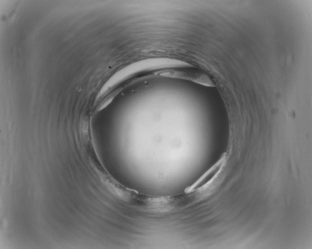 X0000078240192200611171508