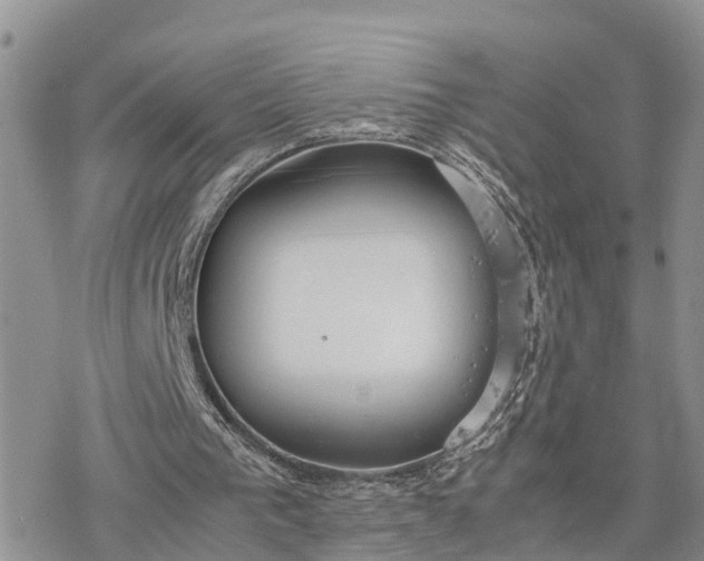 X0000078240193200611171507