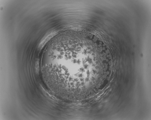 X0000078240194200611171507