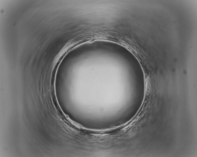 X0000078240195200611171507