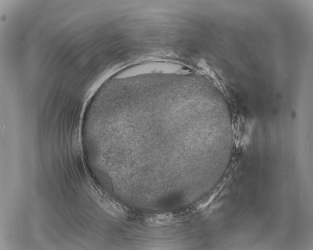 X0000078240196200611171507