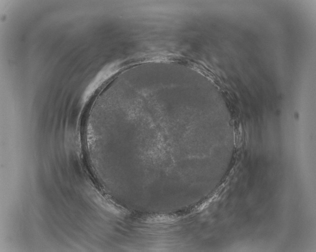 X0000078240198200611171507