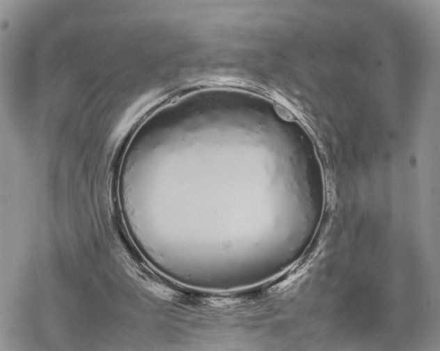 X0000078240199200611171507