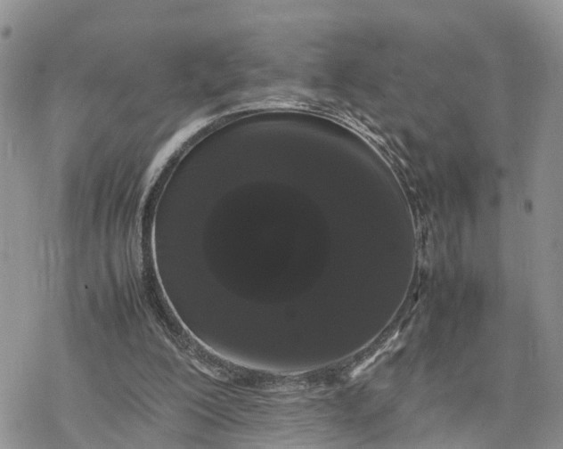 X0000078240200200611171507