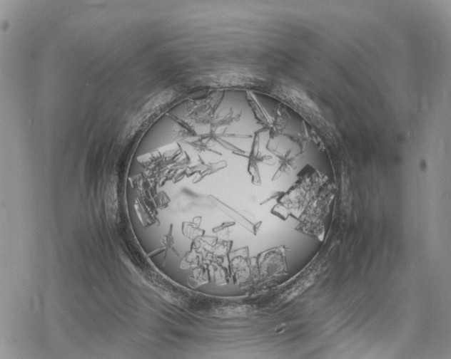 X0000078240202200611171507