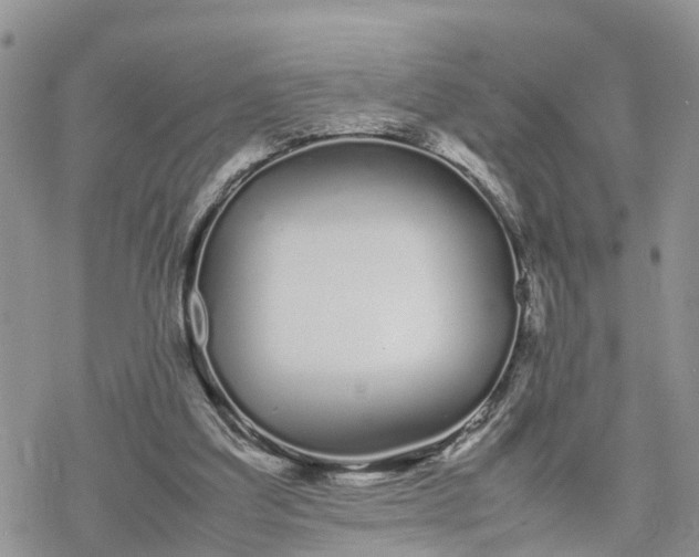 X0000078240203200611171507