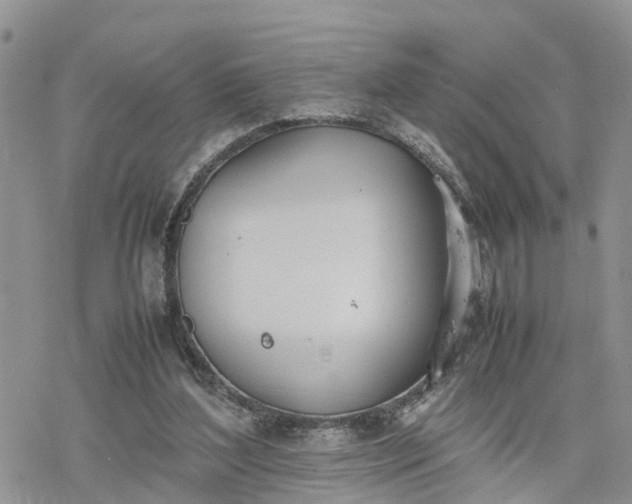 X0000078240204200611171507