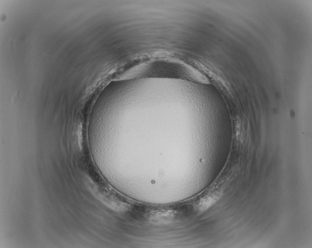 X0000078240206200611171507