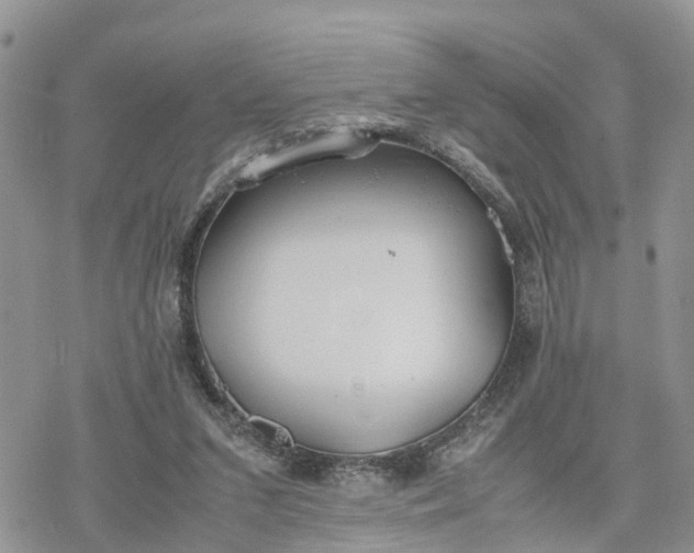 X0000078240207200611171507