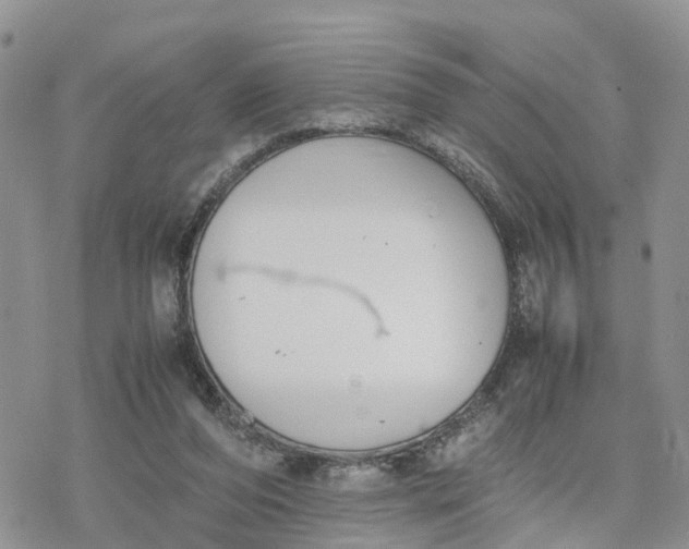 X0000078240208200611171507