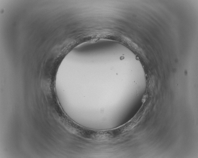 X0000078240209200611171507