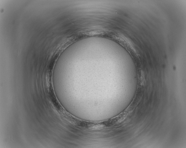 X0000078240210200611171507