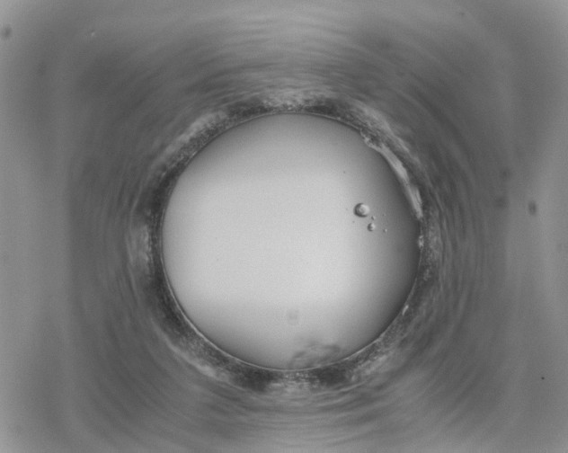 X0000078240211200611171507