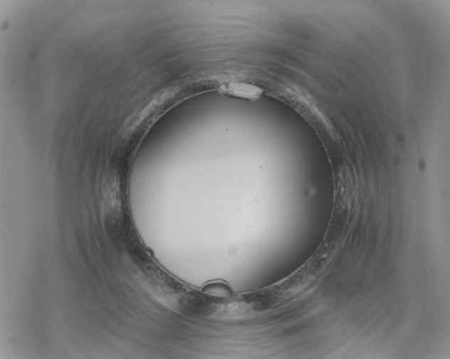 X0000078240212200611171507