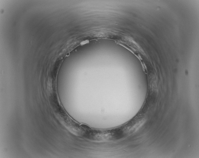 X0000078240213200611171507